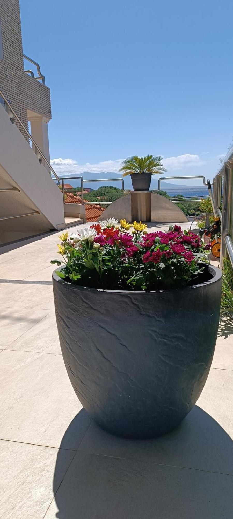 Villa Pintar Povile Kültér fotó